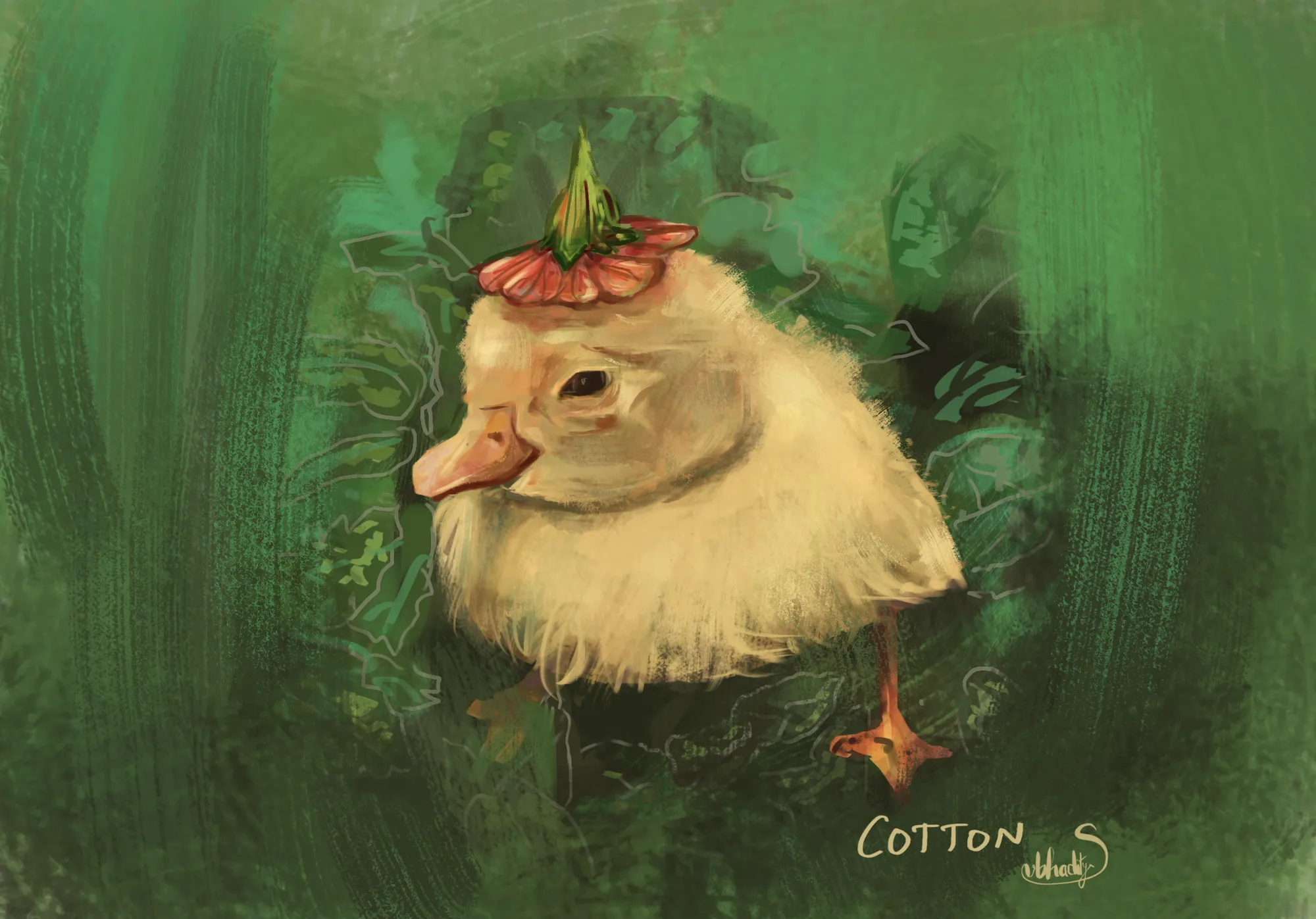 Cotton (from instagram)