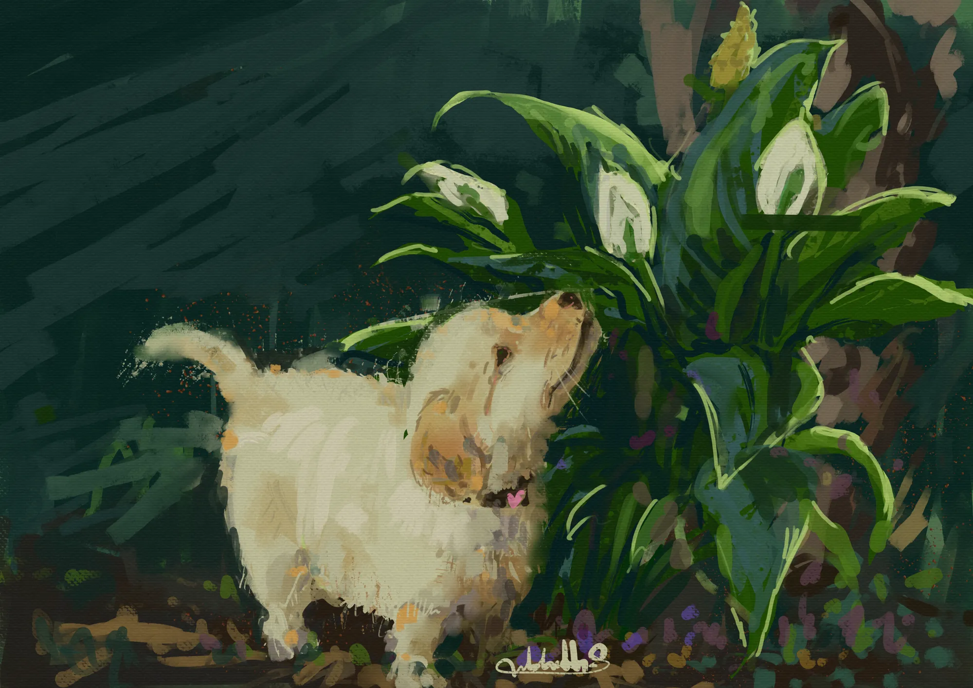 Doggo sniffing our peace lily